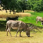 Makowitschka Apartman *