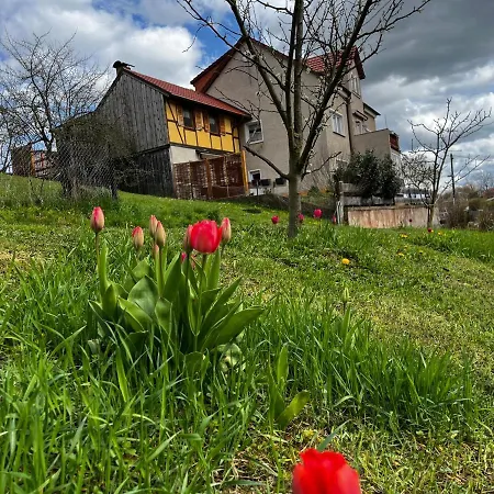 Makowitschka 아파트 *